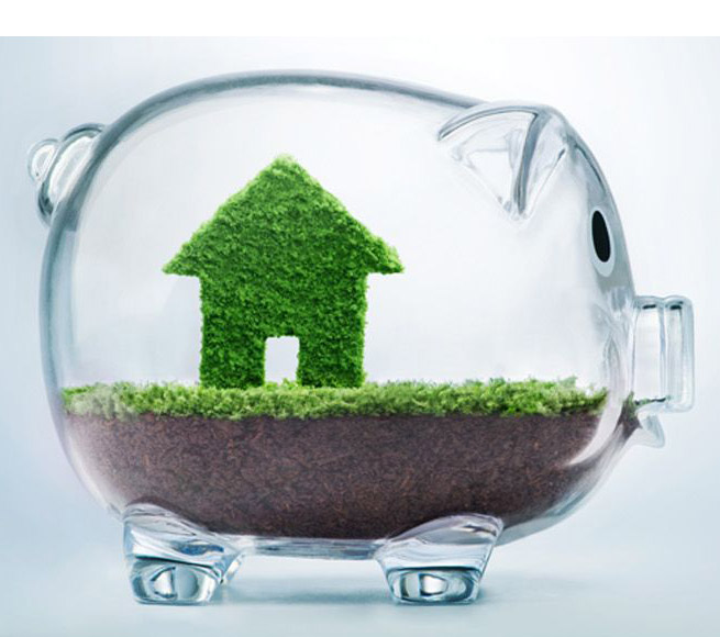 NRI Investments